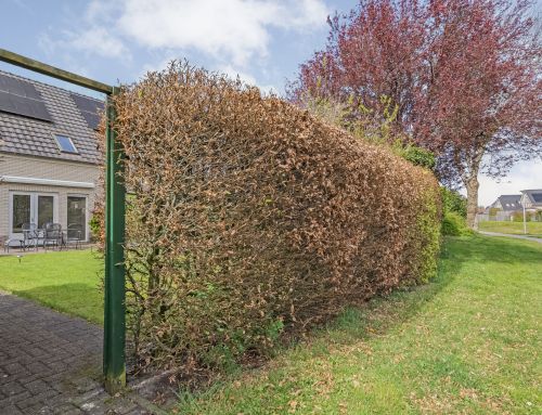 Huis verkopen in het najaar: een goed moment?